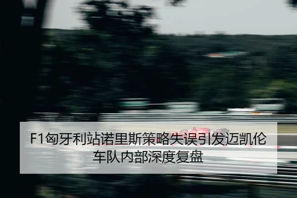 xiong-ya-li-zhan-nuo-li-si-ce-lve-shi-wu-yin-fa-mai-kai-lun-che-dui-nei-bu-shen-du-fu-pan-2-257.jpg