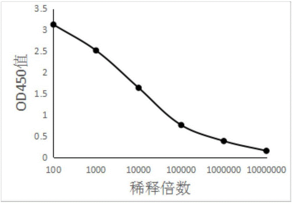 世界杯热门赛事