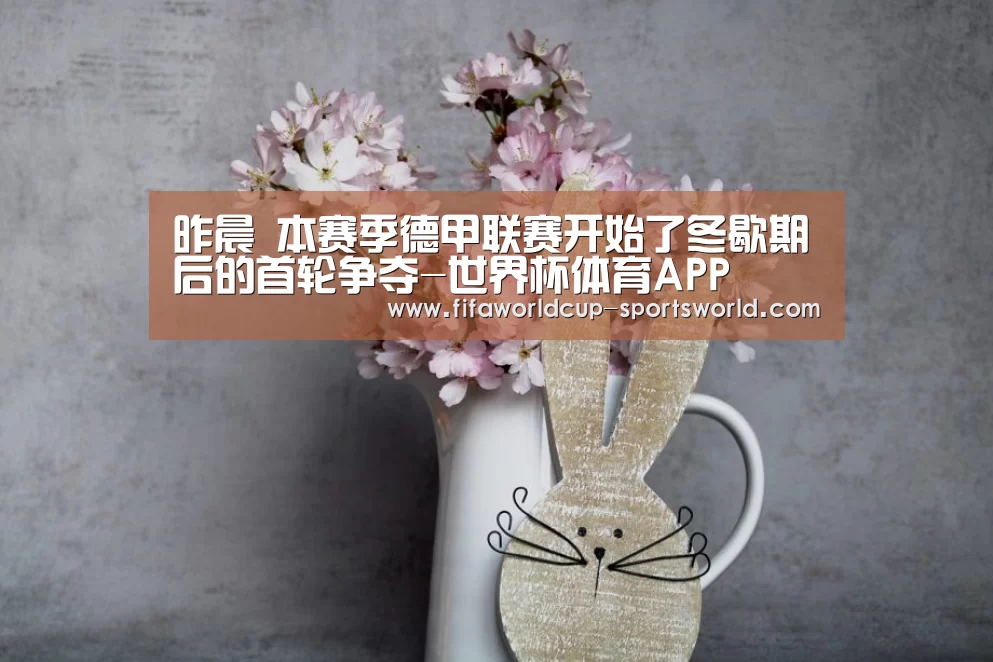昨晨 本赛季德甲联赛开始了冬歇期后的首轮争夺-世界杯体育AP