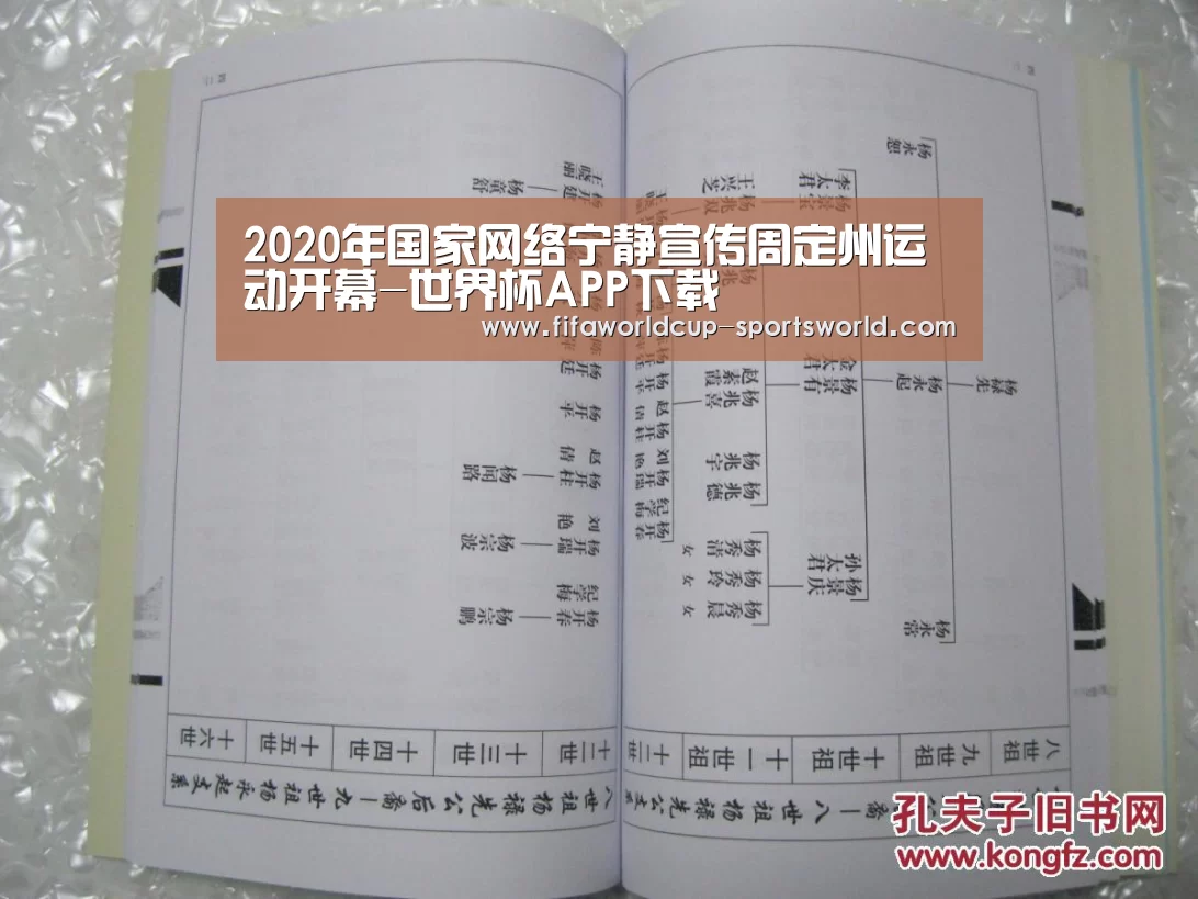 
2020年国家网络宁静宣传周定州运动开幕-世界杯APP下载