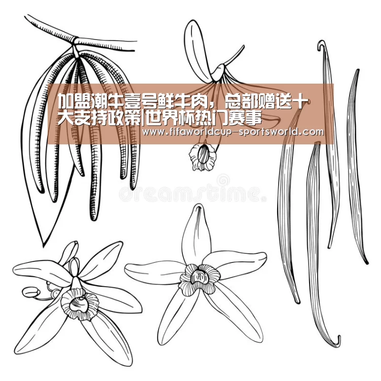 加盟潮牛壹号鲜牛肉，总部赠送十大支持政策|世界杯热门赛事