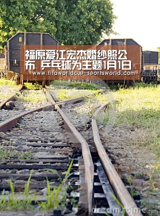 福原爱江宏杰婚纱照公布 乒乓球为主题1月1日举行婚礼_世界杯热门赛事(图2) FIFA World Cup