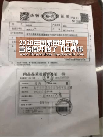 2020年国家网络宁静宣传周开始了【世界杯体育APP】(图2) 世界杯体育APP