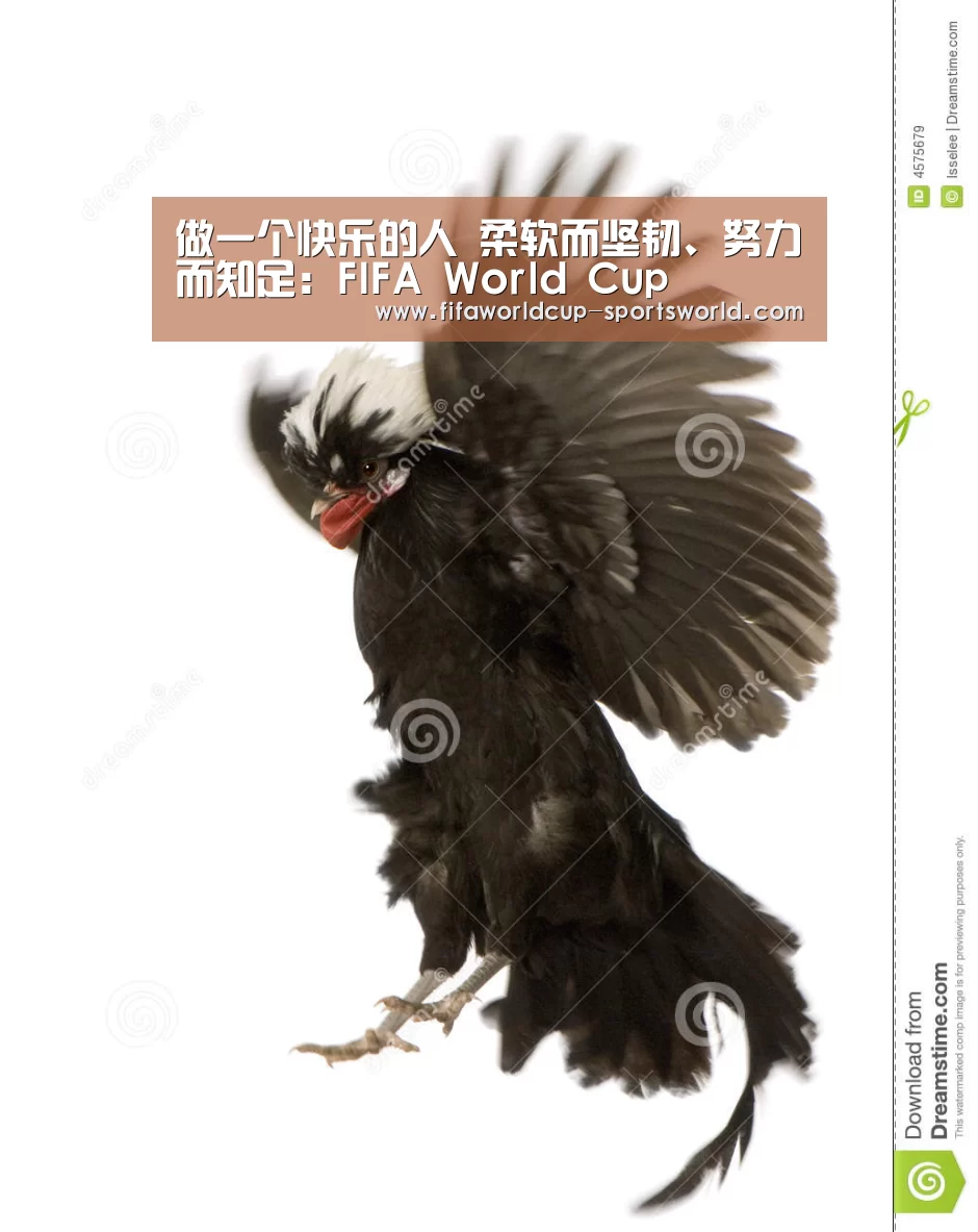 FIFA World Cup