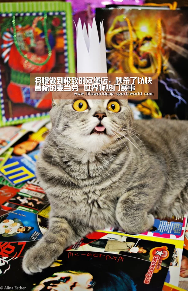 世界杯体育APP