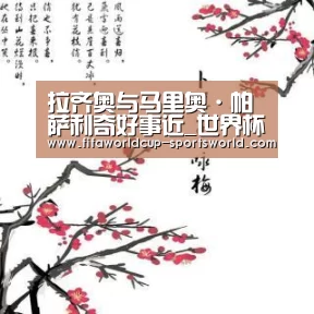 拉齐奥与马里奥·帕萨利奇好事近_世界杯APP下载