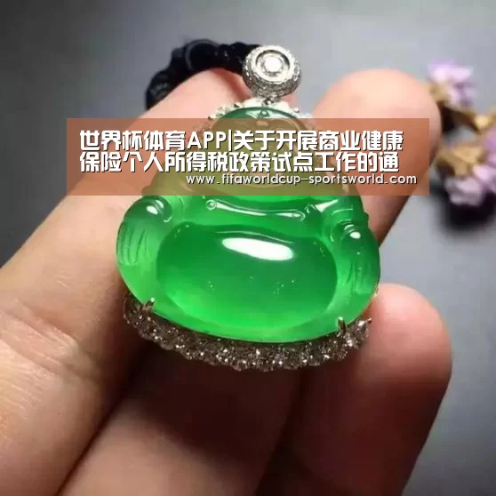 世界杯体育APP|关于开展商业健康保险个人所得税政策试点工作的通知(图2) 世界杯APP下载